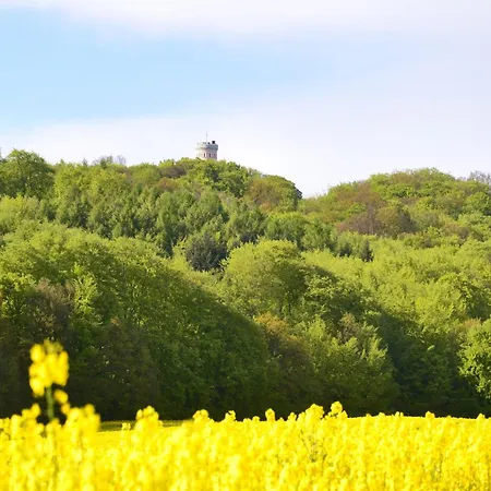 Апартаменты Im Seepark *